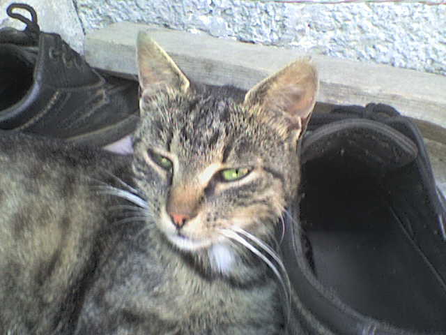 DSC00117.JPG